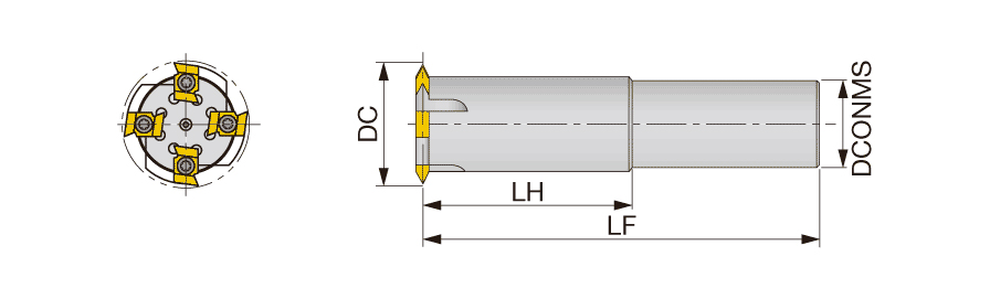 ‎D23-D25-45R